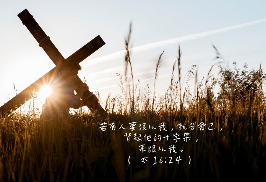 经文短曲：在主里的劳苦，绝不徒然（01.11.2023） - The Bridge Communication 文桥传播中心